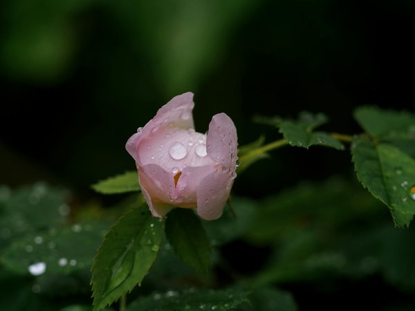 Innovative vertical gardening ideas for uk apartments with minimal outdoor space